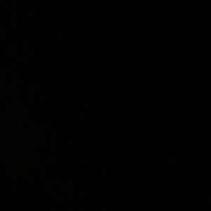 Meet your Posher, Wayne